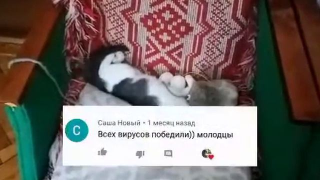 Коменты от вас || спасибо вам большое, что мне пишете смотреть онлайн