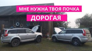 ДОРОГАЯ, МНЕ НУЖНА ТВОЯ ПОЧКА! ХОРОШО КОГДА ЕСТЬ ДОНОР.