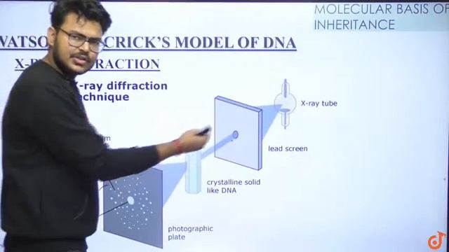MOLECULAR BASIS OF INHERITANCE |Double Helix Model Of DNA |Class 12 Biology |11AM Class By Vinay Si