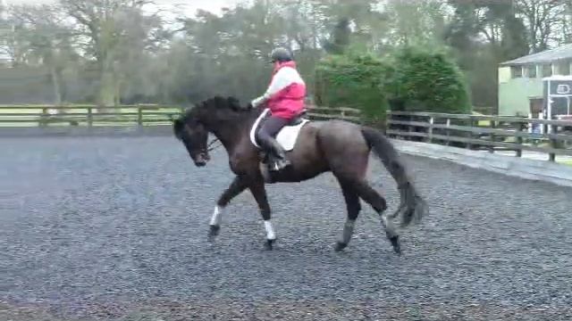 Karat HD - Lesson with Tracy Woodhead - 6 February 2016 смотреть онлайн