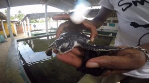 ШРИ-ЛАНКА / МАЙ 2016