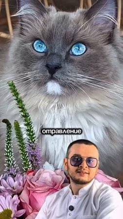 Пришла весна 😍