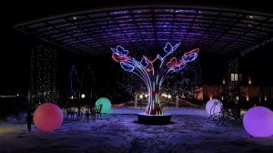 Дорогие друзья, поздравляю Вас с наступающим новым 2024 годом! Н.В. Сафонов