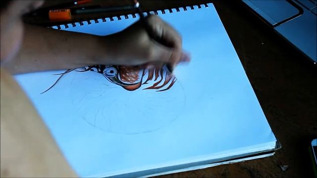 Time Lapse ART смотреть онлайн