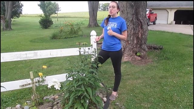 HERBS~ HOW TO HARVEST ECHINACEA, CULTIVATE FEVERFEW, MINT AND MORE смотреть онлайн