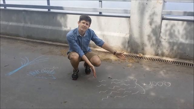 Утилизация батареек смотреть онлайн