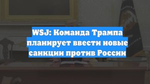 WSJ: Команда Трампа планирует ввести новые санкции против России