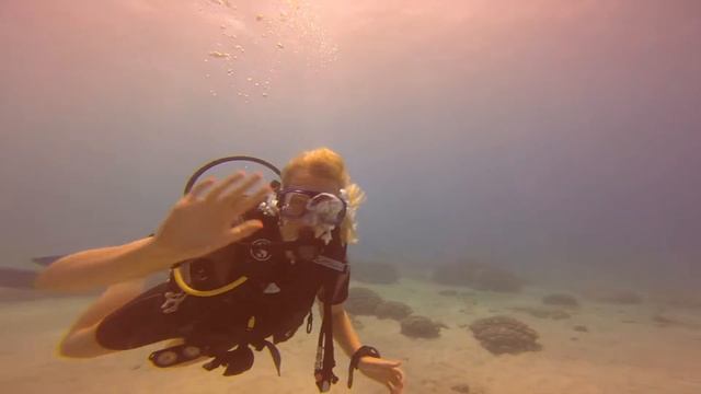 Oberoi Sahl Hasheesh - Red Sea - Egypt Diving 2014 смотреть онлайн