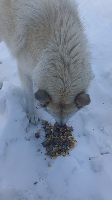 Гроза района