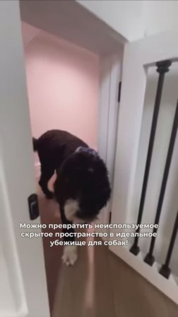 Лайфхак для организации пространства под лестницей!