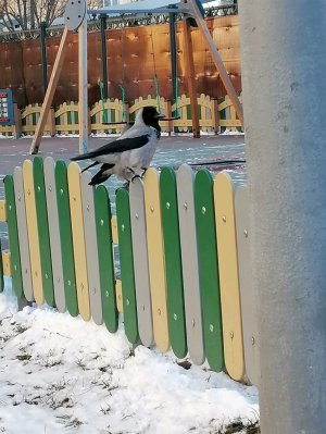 Привет