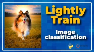 Self-Supervised Learning Made Easy with LightlyTrain | Image Classification tutorial