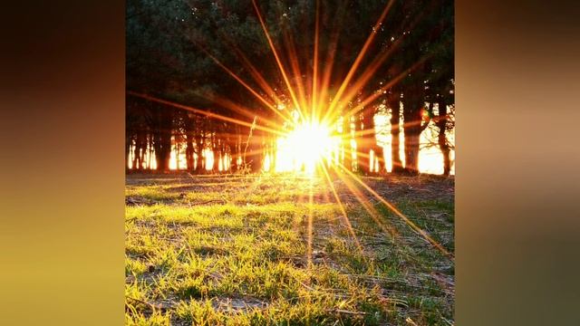 Владимир Курганов "Ценим жизнь" смотреть онлайн