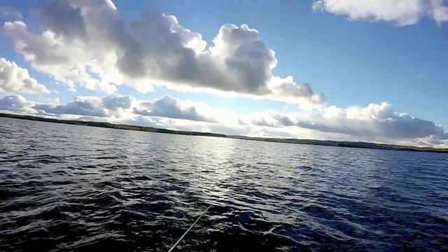 ХОЧЕШЬ СТОЛЬКО ЖЕ РЫБЫ ??? СМОТРИ НА ЧТО НАДО ЛОВИТЬ. СУПЕР РЫБАЛКА