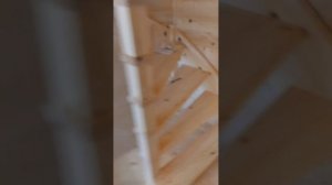 Строим дачный дом 38м2