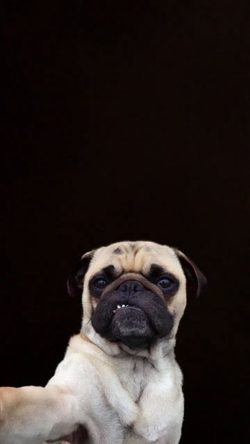 Это вам смотреть онлайн