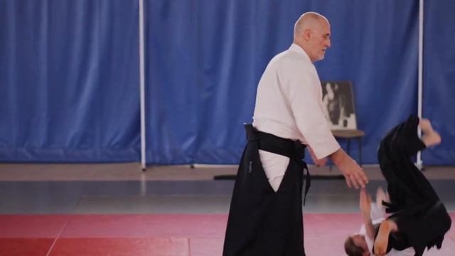 Aikido Seminar with Philippe Gouttard Shihan 7th Dan in Meze 2019 смотреть онлайн