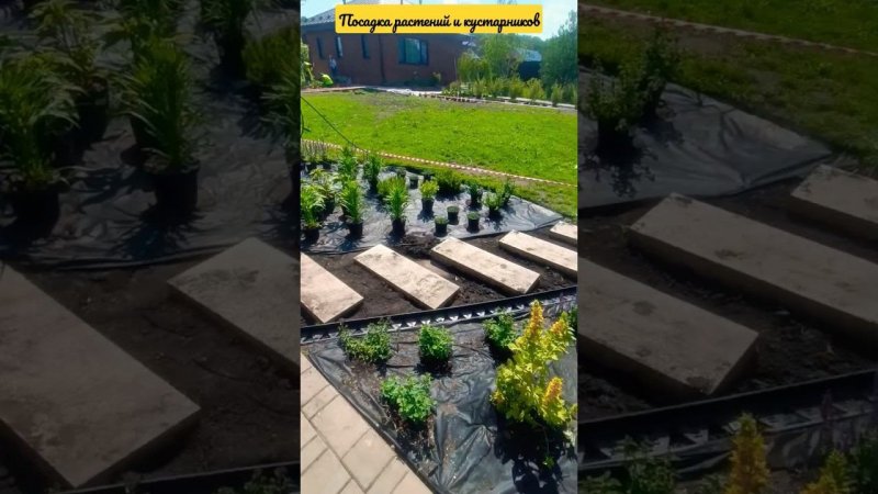 Благоустройство участка, посадка растений.