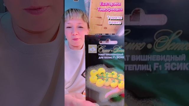 Томаты черри от  @semco_agrofirma (Семена Семко | Агрофирма) Ирин 60, Татьянин, Черри Максик, Ясик