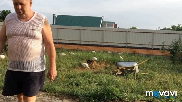 Раннее утро, после ливня ! смотреть онлайн