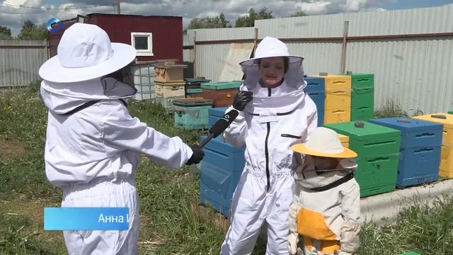 В крестьянско-фермерское хозяйство в посёлке Ладва привезли новые ульи и пчёл смотреть онлайн