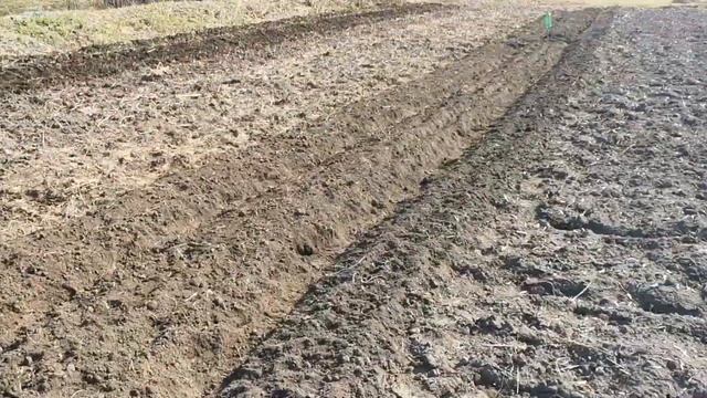 Один день в деревне, посеяли морковь и доделал парник
