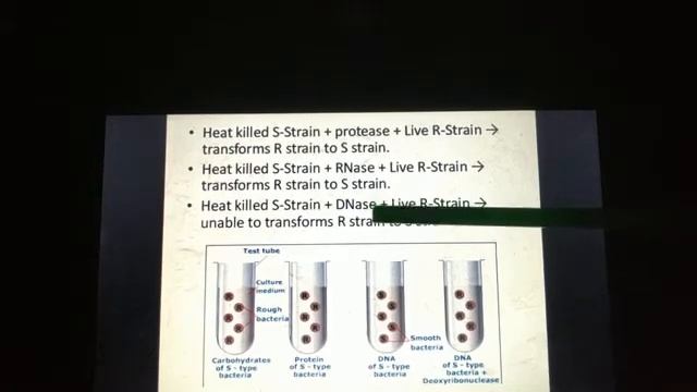 Class 11 Biotechnology Chapter- Genes and genome: Structure and Function part 2