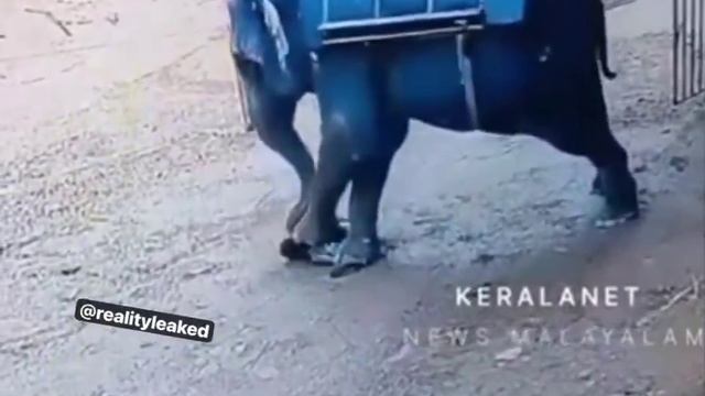 Это реально жутко и печально.