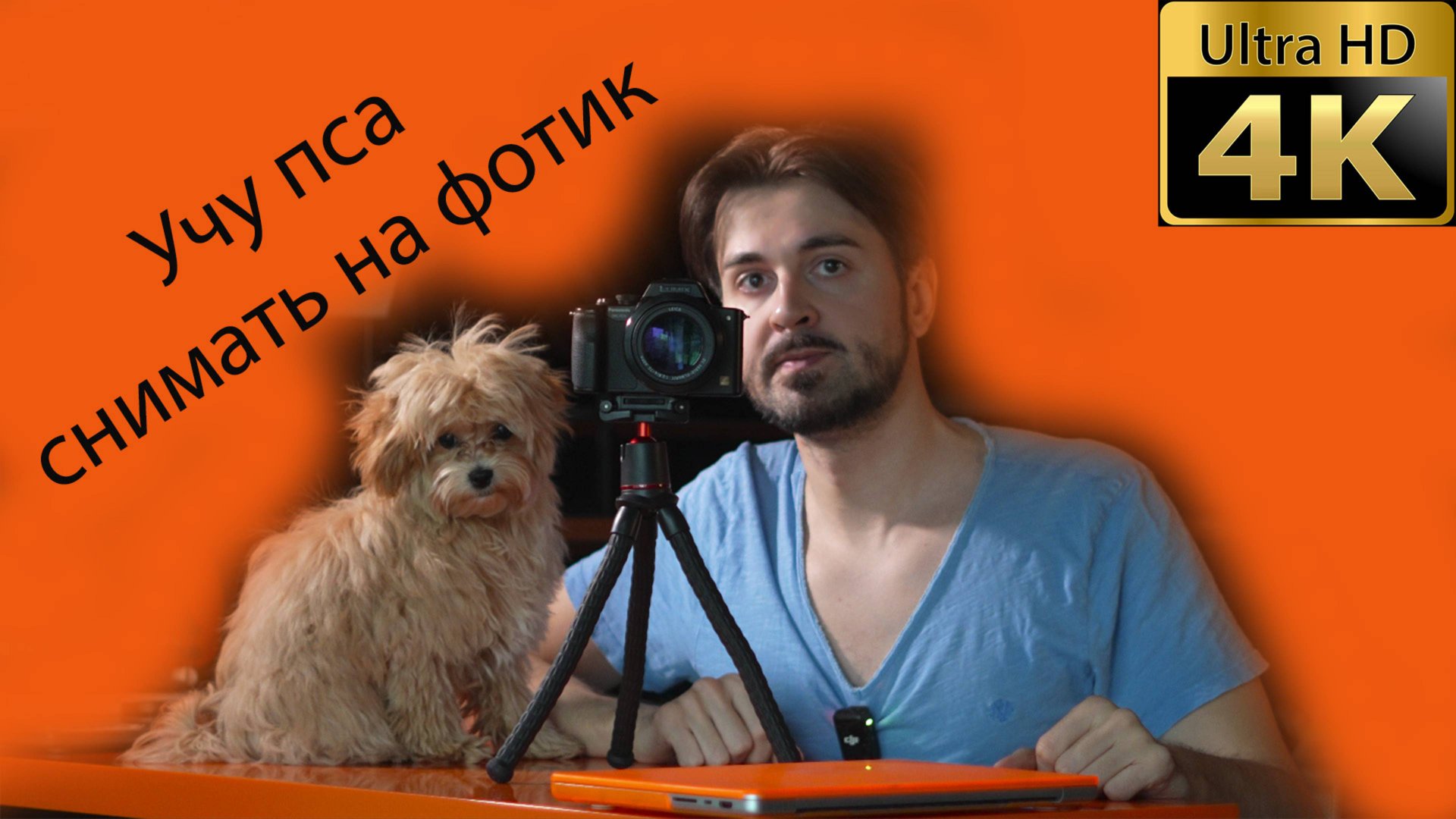 Учу пса снимать на фотик! смотреть онлайн