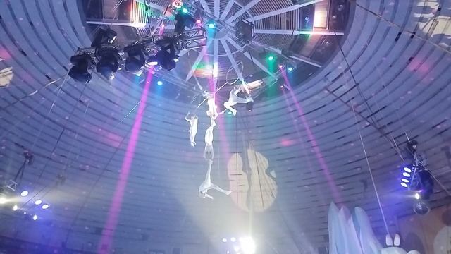 Воздушные гимнасты