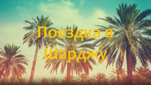 Поездка в Шарджу