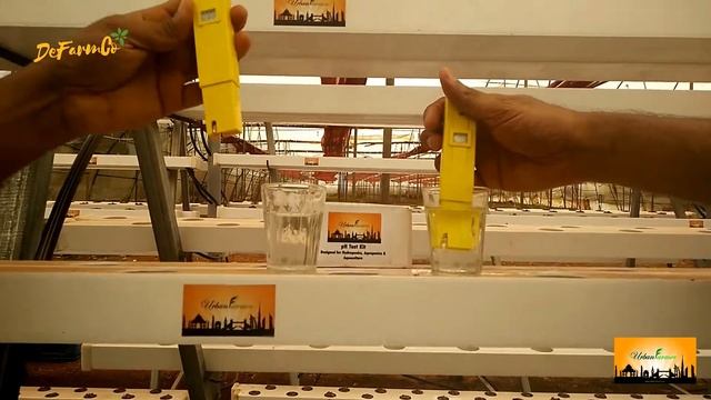 Importance of pH in a Hydroponics setup and challenges in accurate reading