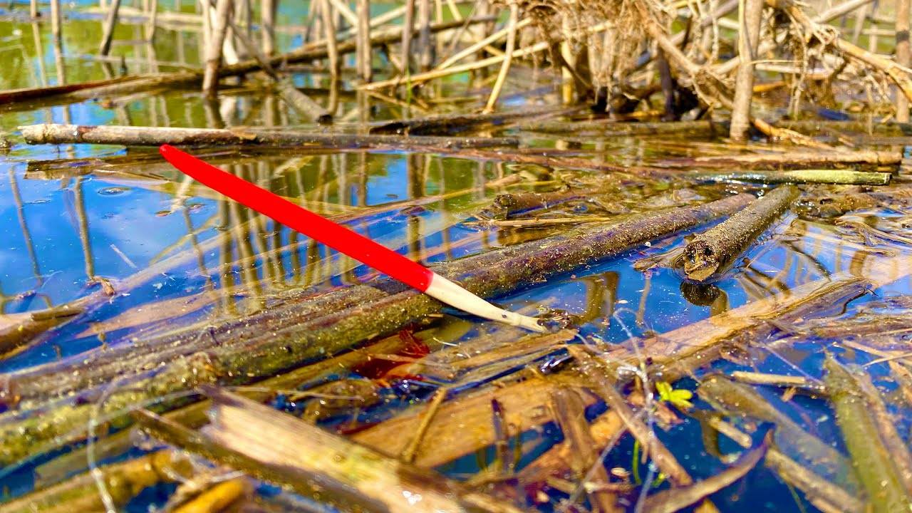 Рыбалка на поплавок в апреле  20 ЛЕТ ТУТ НЕ ЛОВИЛИ РЫБУ смотреть онлайн