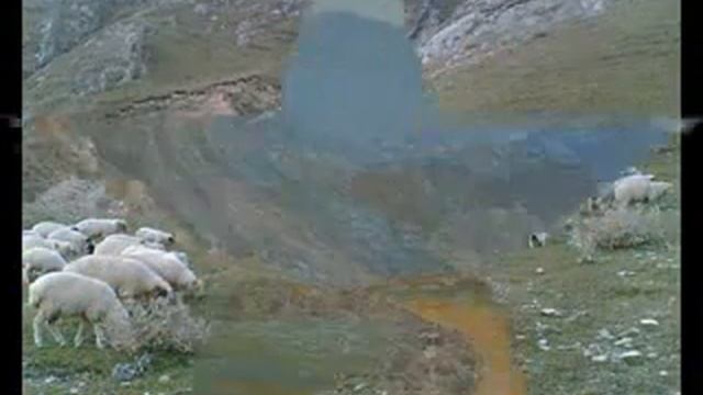 Дагестан 05.flv смотреть онлайн