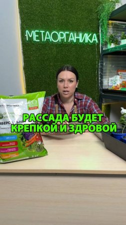 Рассада будет крепкой и здоровой, если использовать это
