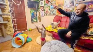 Люська РАЗВЛЕКАЕТСЯ как может, запустила с улицы кота Басика, половила с Владом