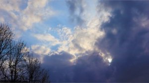 Фотоконкурс "Красота в глазах смотрящего" 2025