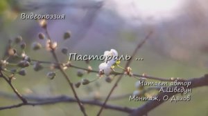 Пастораль...