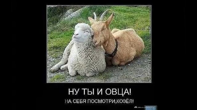 Смехотворные прогнозы 2017 92 серия смотреть онлайн