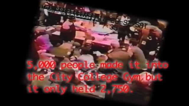 9 lives Screens in Cannes смотреть онлайн