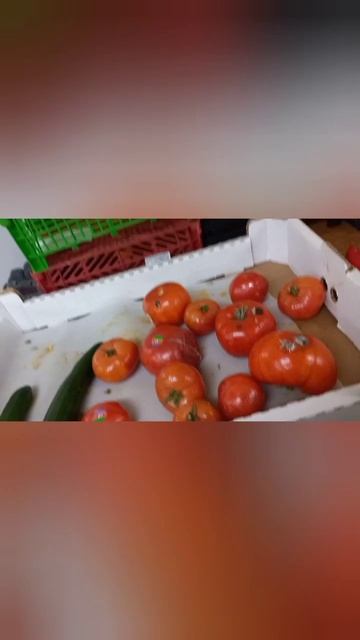 На помойке лучше. см полный Влог от 20.03.23 Чистая химоза