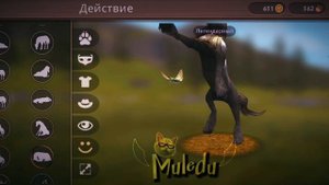 ‼️аккаунт ваилд крафт.