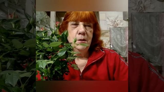 Розовый день.🙂 смотреть онлайн