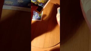 🤴👑МОЙ КОРОЛЬ 🤴👑