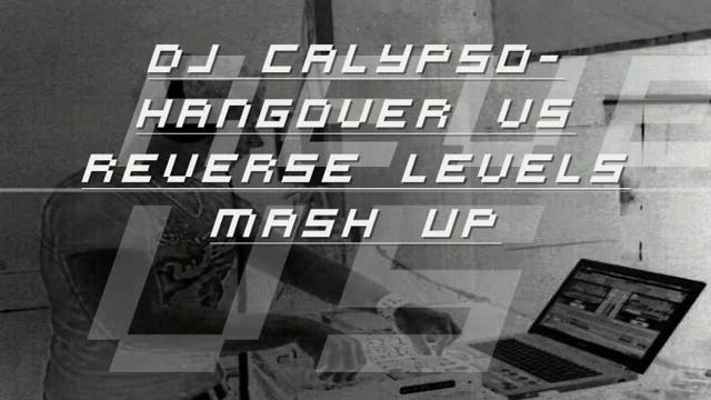 Dj Calypso- Hangover vs Reverse Levels Mash- up смотреть онлайн
