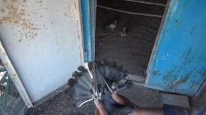 3 мая  наПолегоне сивые г Димитрово