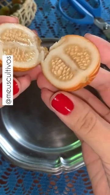 Melão de bolso | Desenvolvimento e Colheita 🍈✨ смотреть онлайн