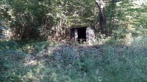 Заброшенная пасека