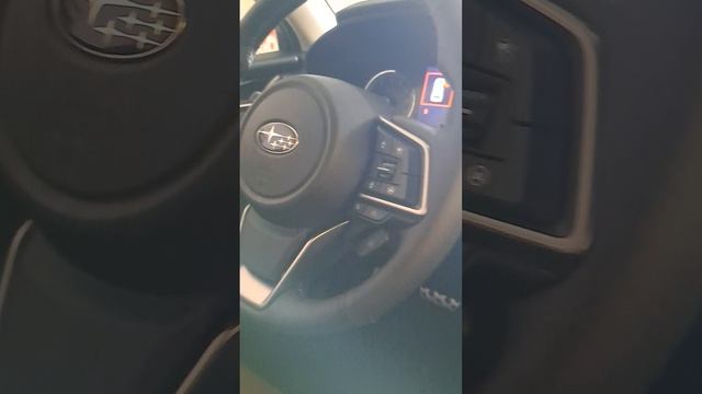 Субару форестер лесник супер проходимый внедорожник года 20230814_085818