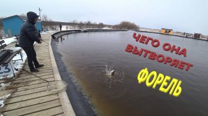 Рыболовный клуб Язь после зарыбления